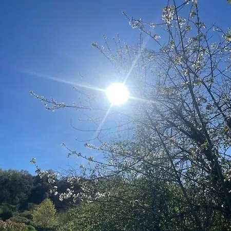 La Frambuesa Galaroza